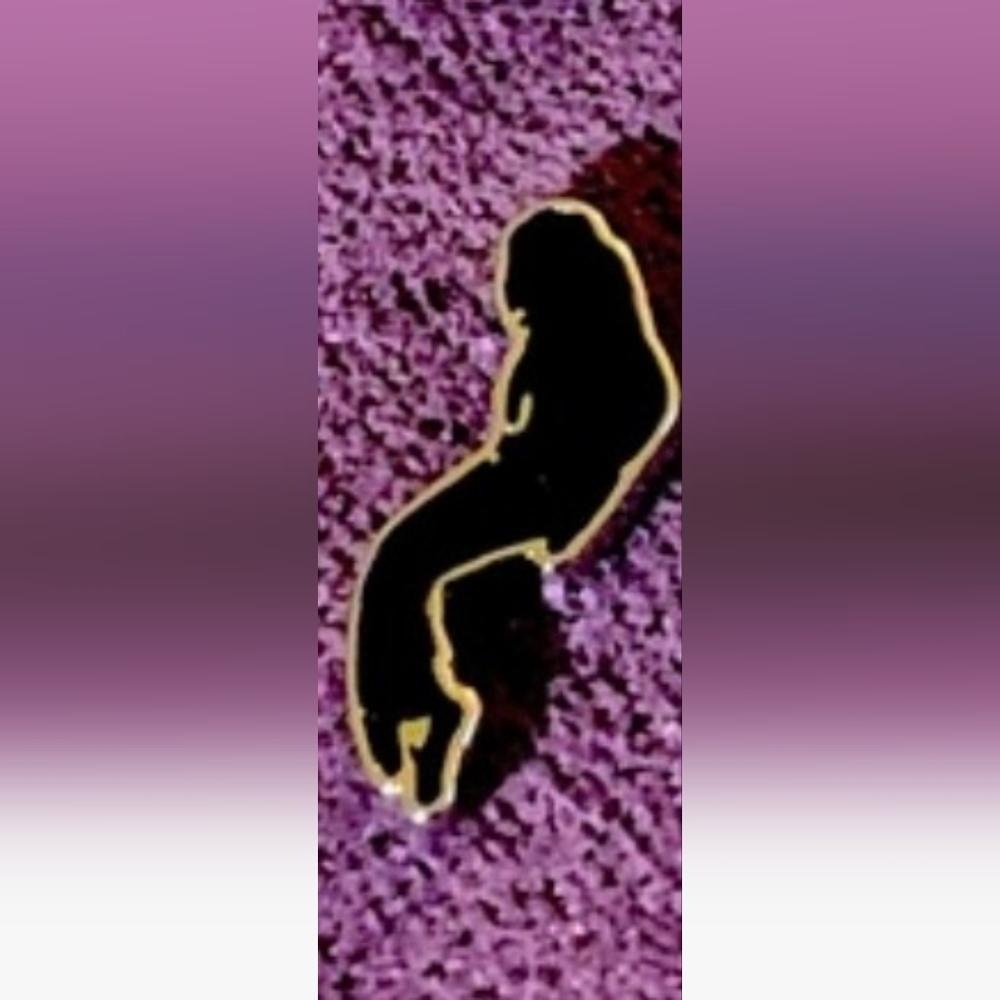 Micheal Jackson Silhouette On Pointe Charm with Silver outline